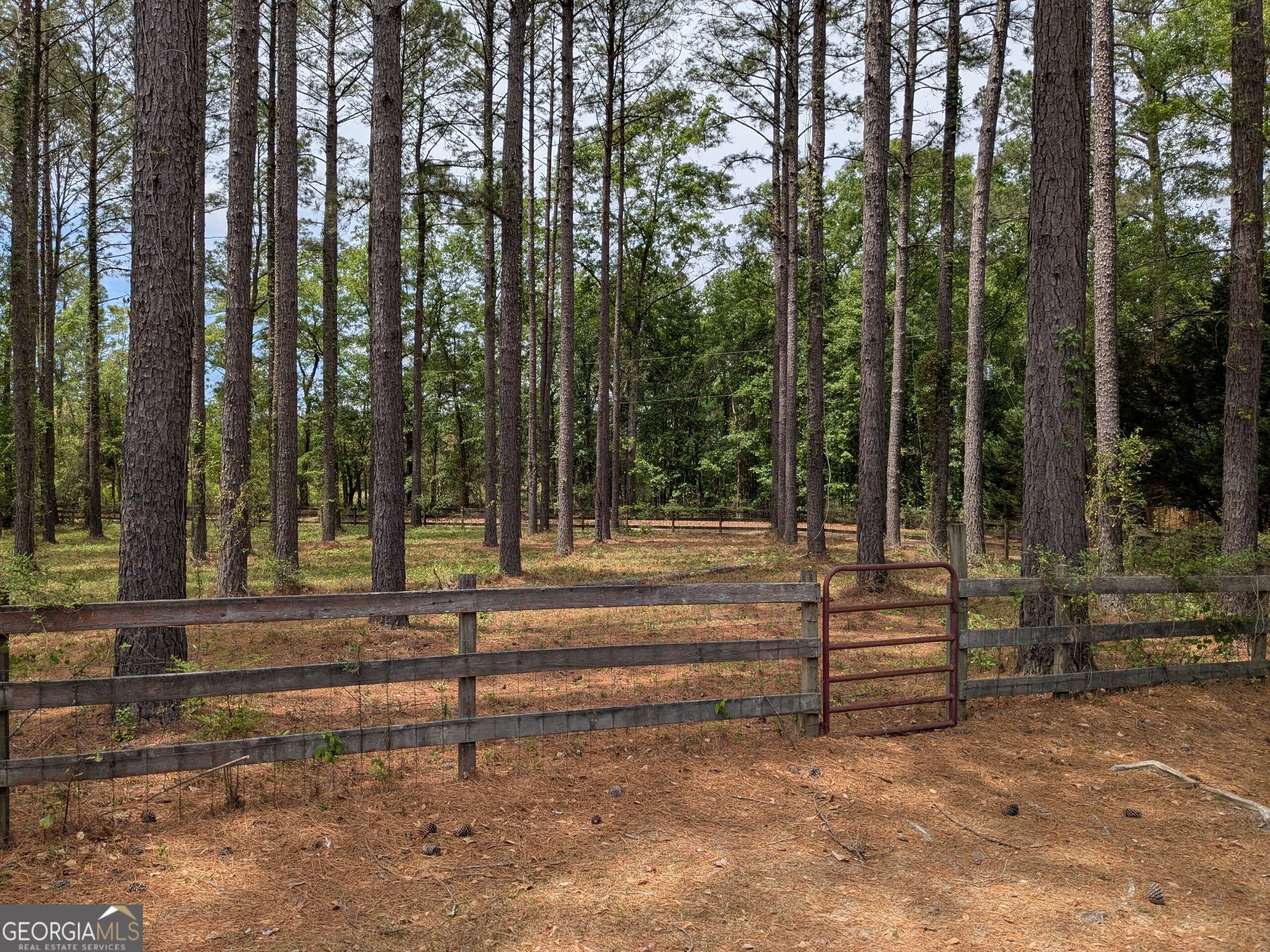 250 Cassie Ree Road Property Photo 16