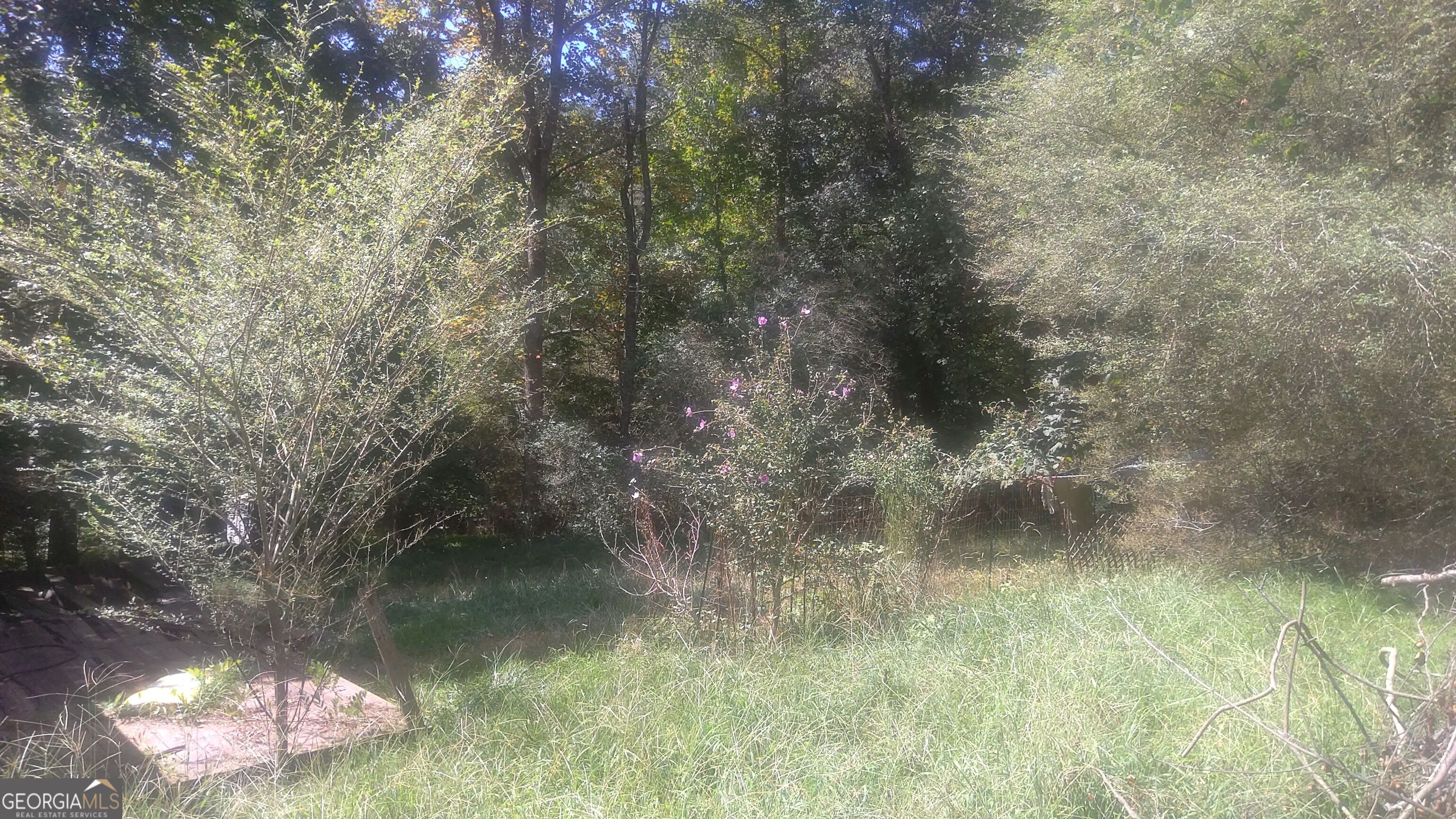 110 Mountainside Drive W Property Photo 3