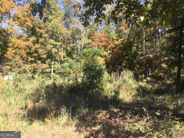 303 High Point Trail Property Photo 3