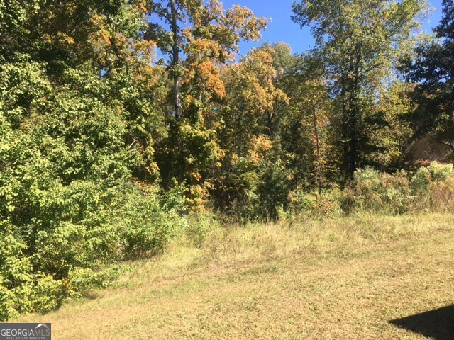 303 High Point Trail Property Photo 4