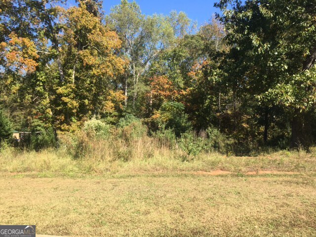 303 High Point Trail Property Photo 5