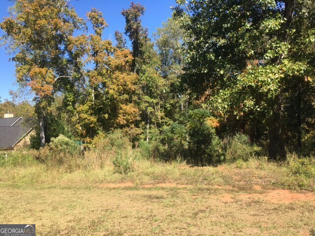 303 High Point Trail Property Photo 6