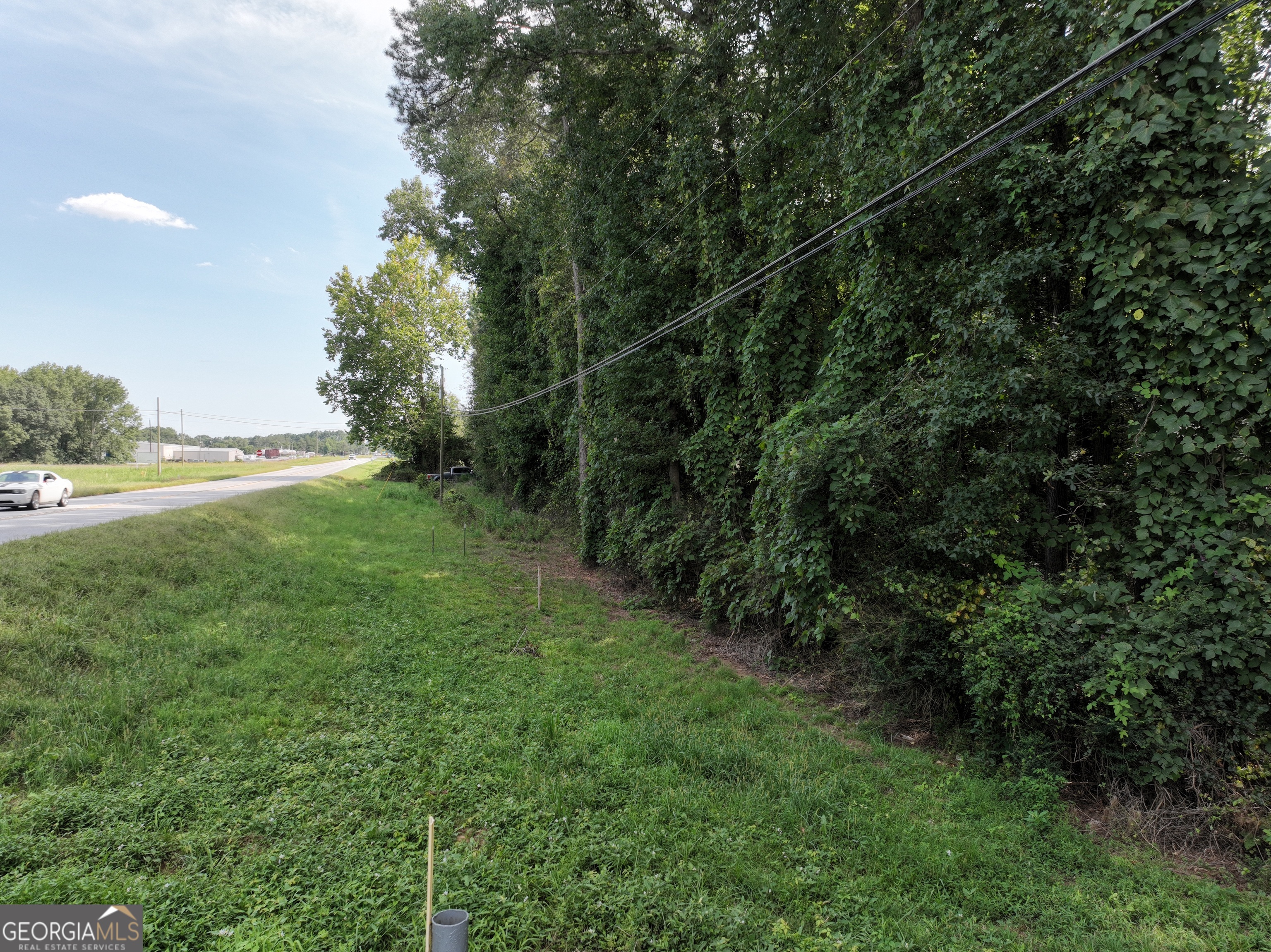 0 Highway 17 Property Photo 12