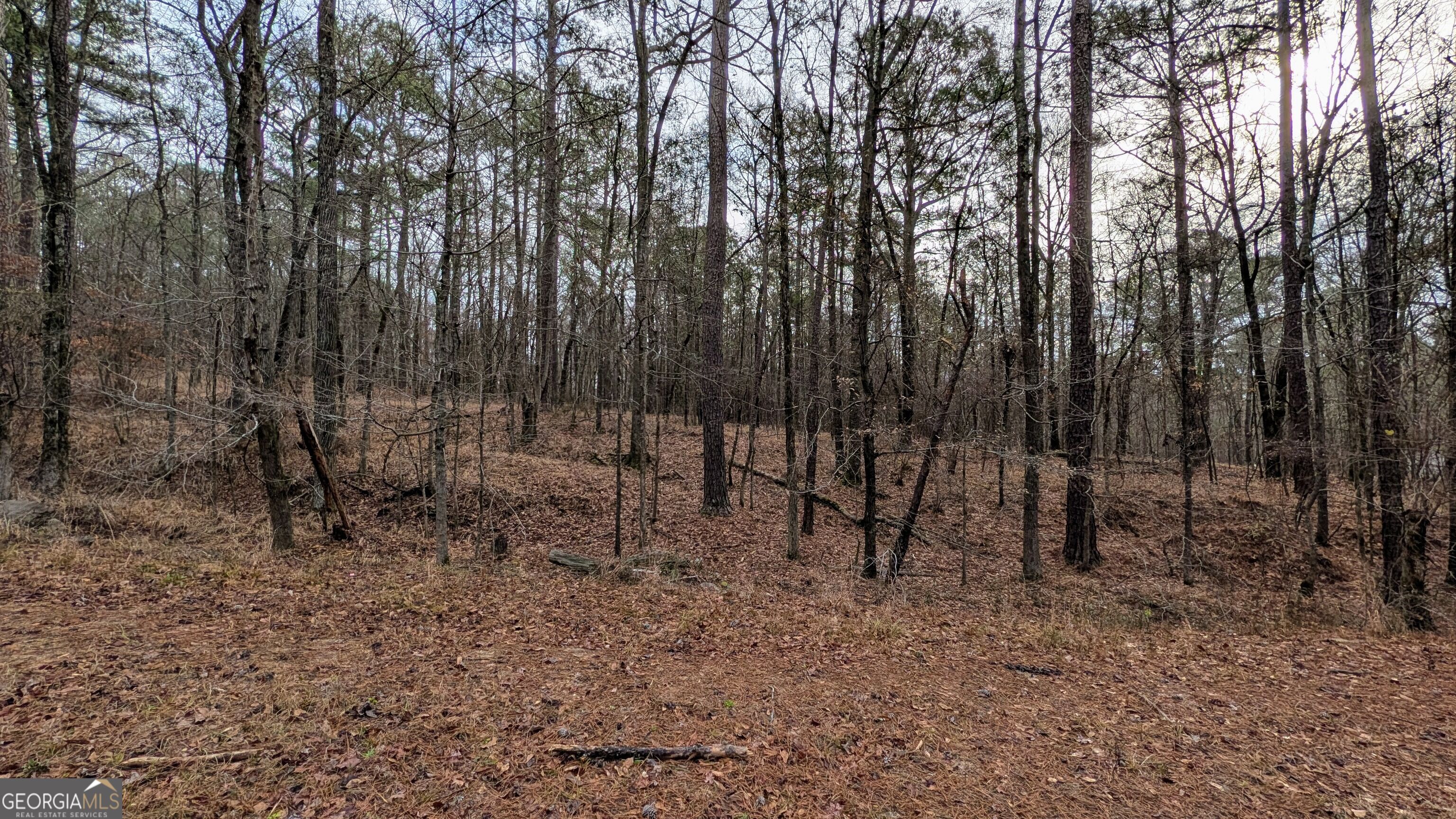 0 Highway 87 Property Photo 2