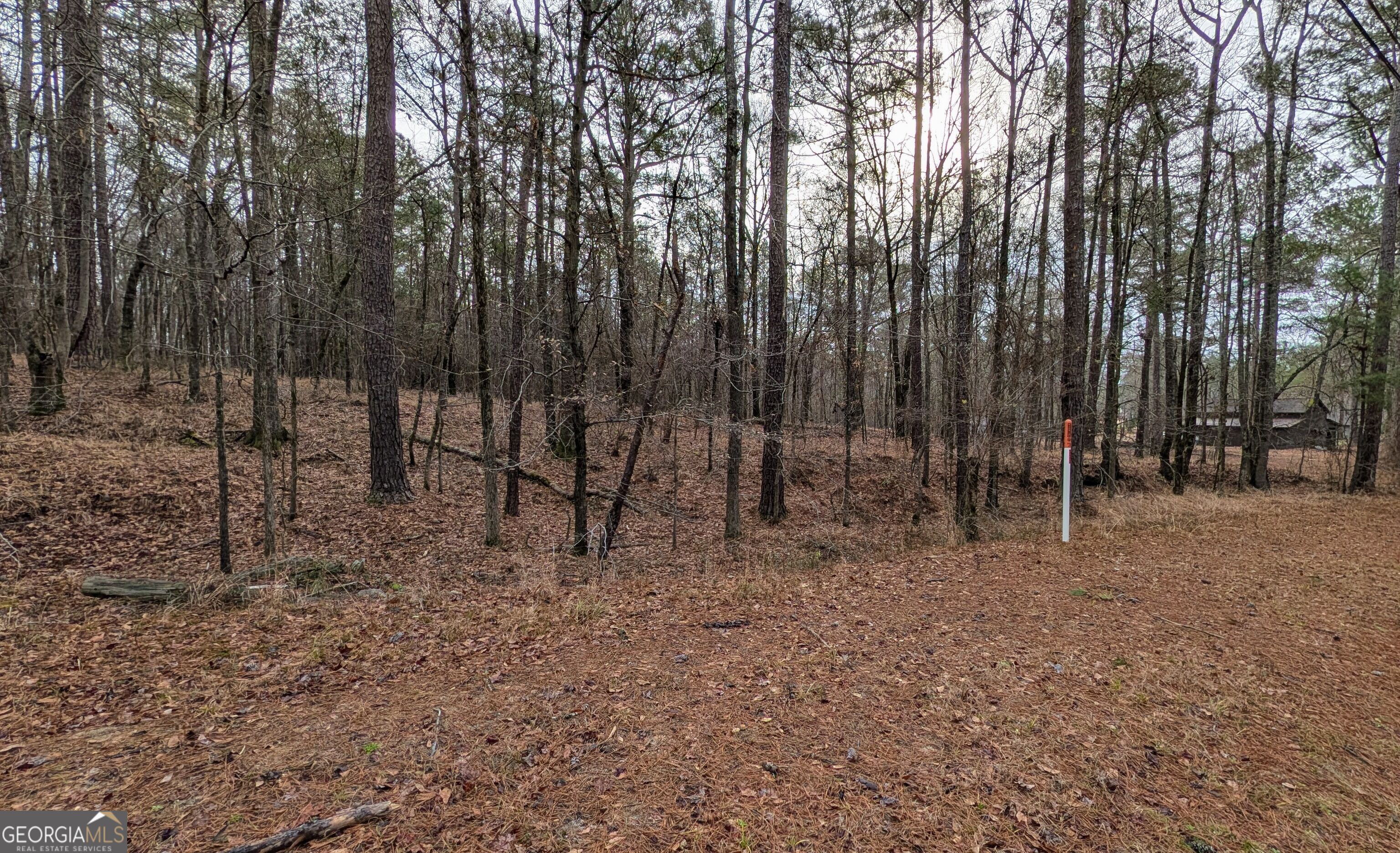 0 Highway 87 Property Photo 3