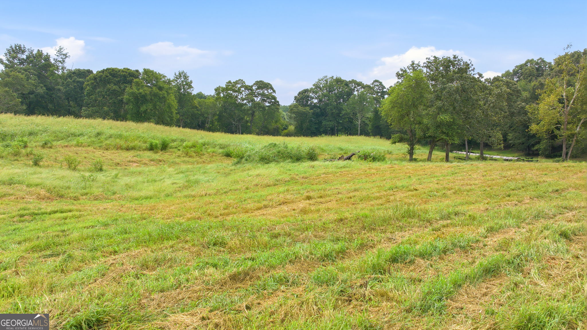 269 Garrison Shoals Road Property Photo 8