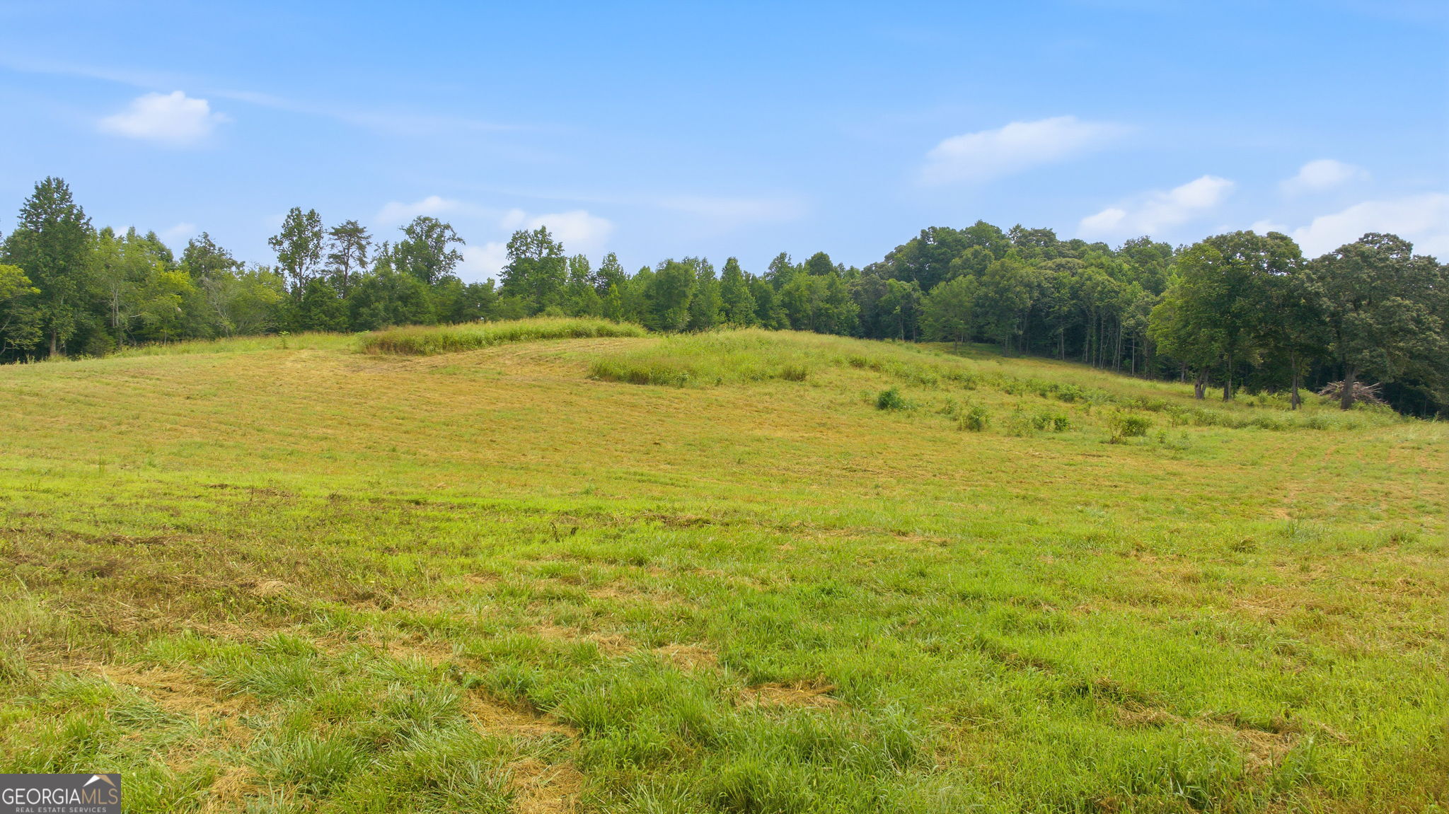 269 Garrison Shoals Road Property Photo 28
