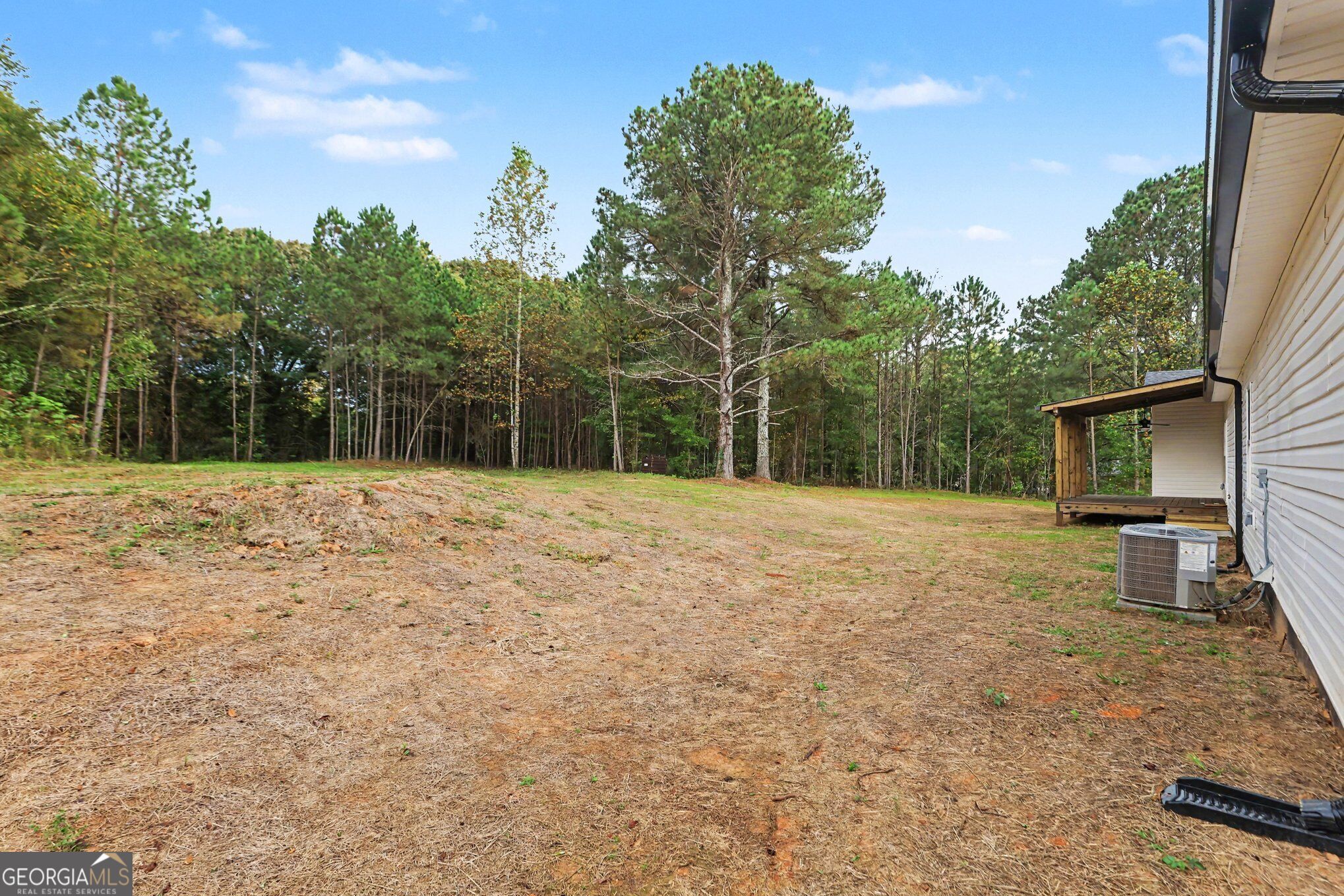 2101 Bremen Mount Zion Road Property Photo 29