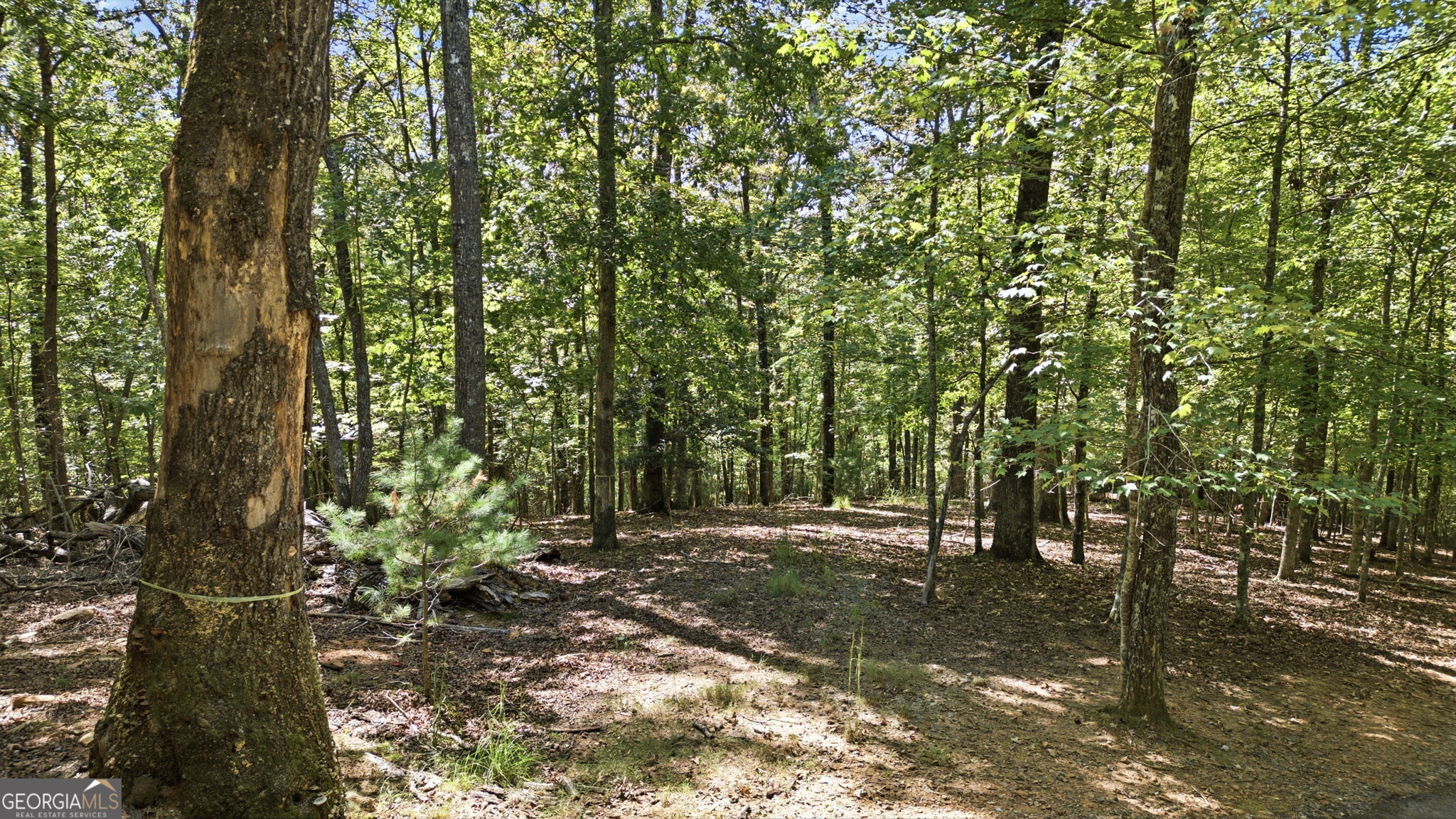 22 Riverwalk Property Photo 3