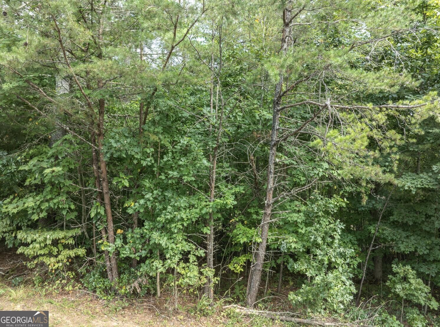 24 Brookhaven Drive Property Photo 7