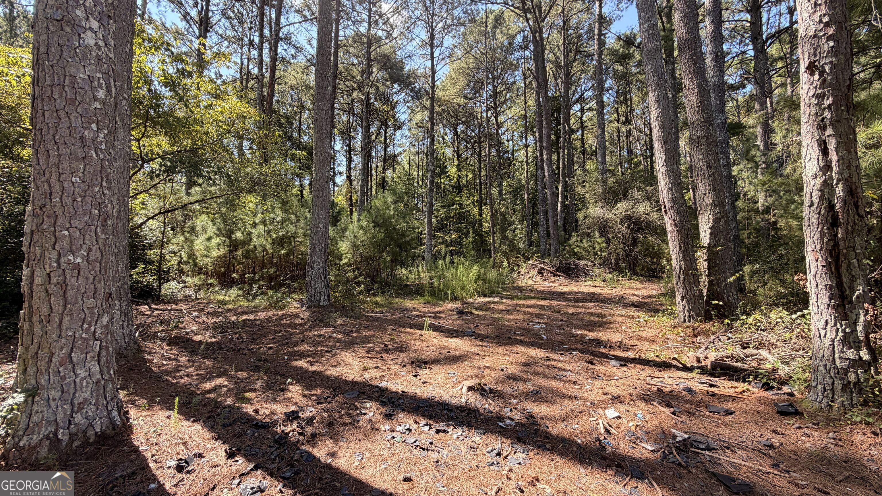 2601 Ne Gees Mill Road Property Photo 7