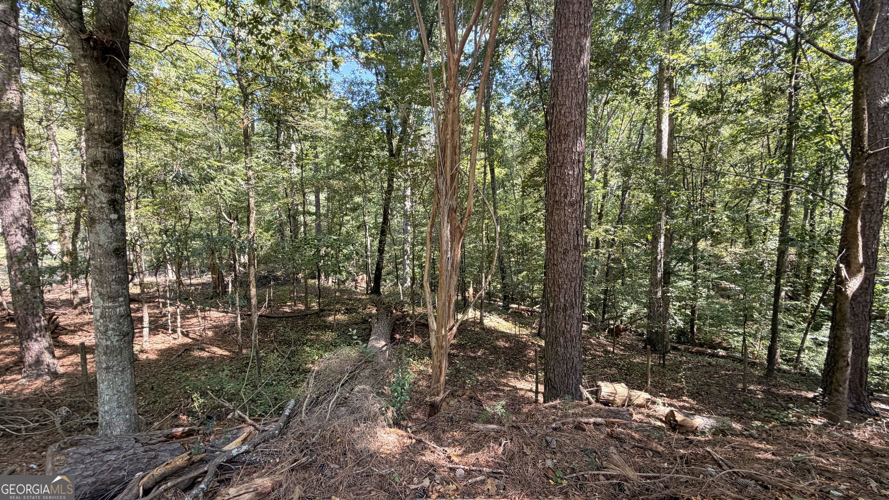 2601 Ne Gees Mill Road Property Photo 8