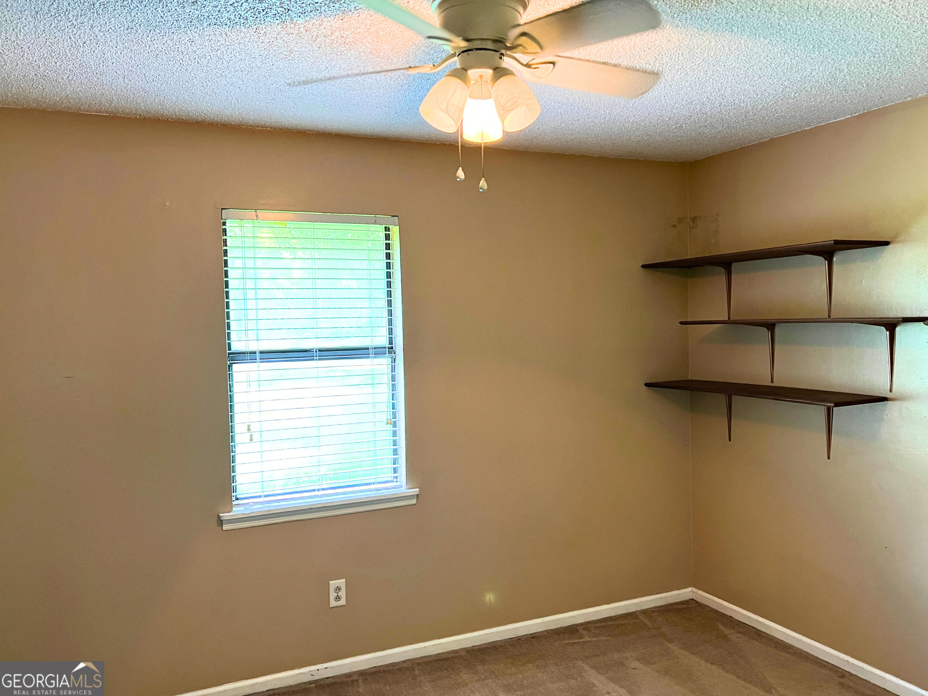 233 Ridge Road Property Photo 11