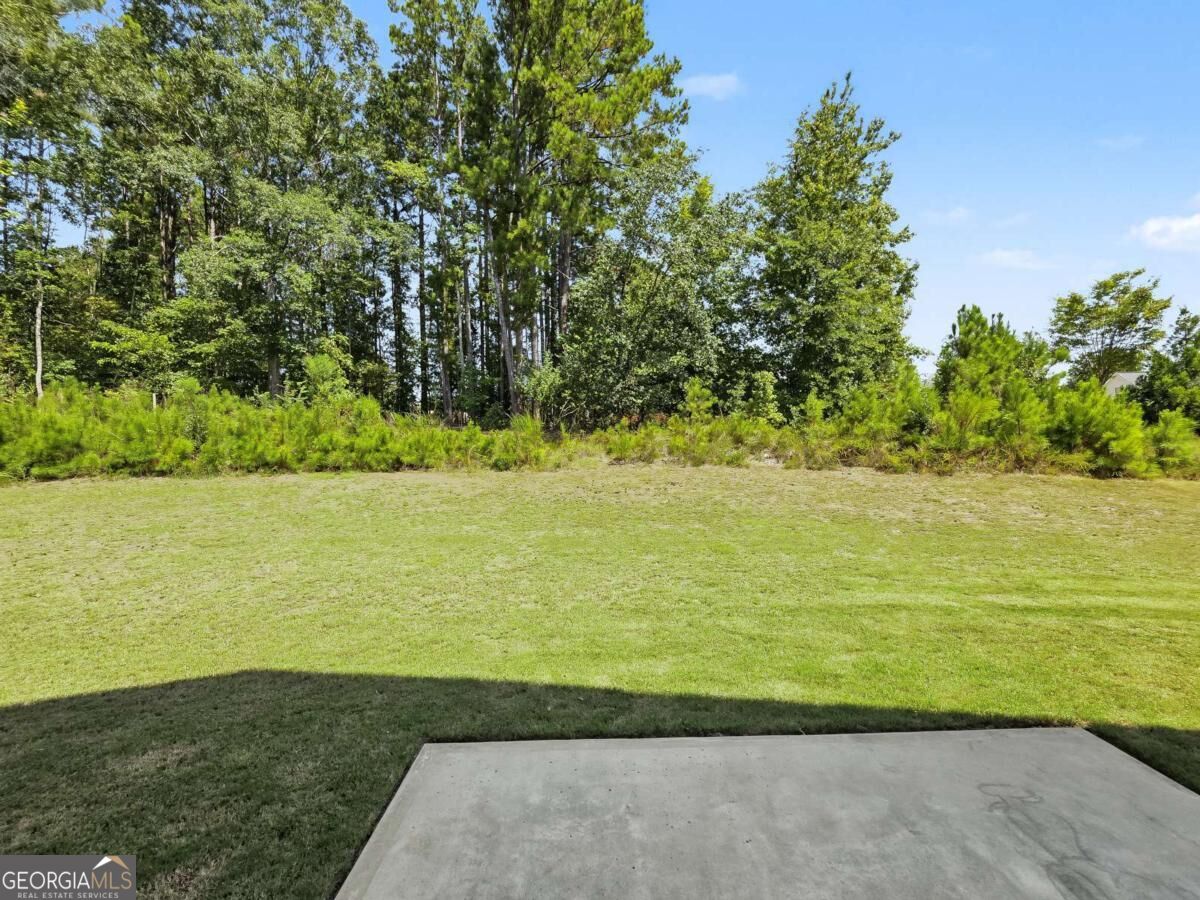 918 Brittfield Way Property Photo 30