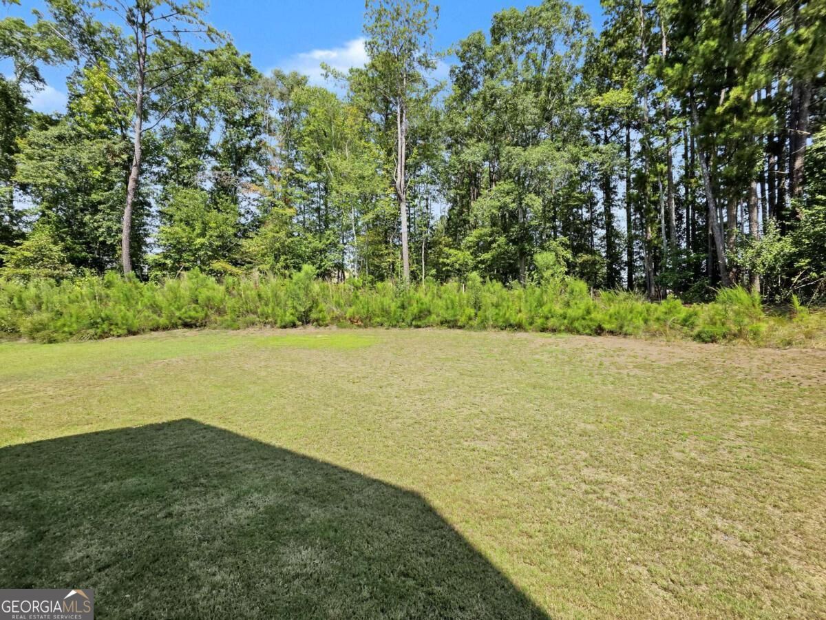918 Brittfield Way Property Photo 31