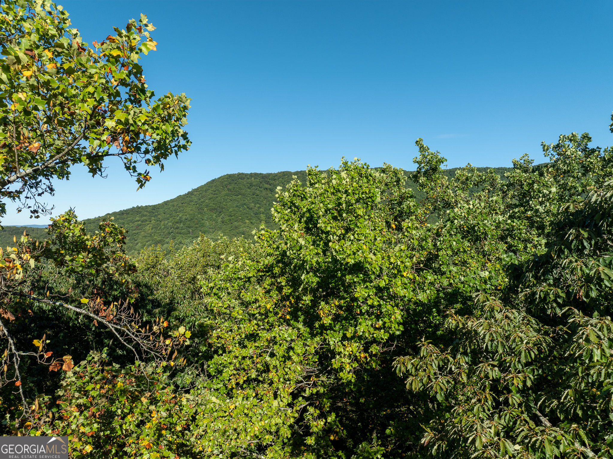 Lot 3 Wilderness Way Property Photo 1