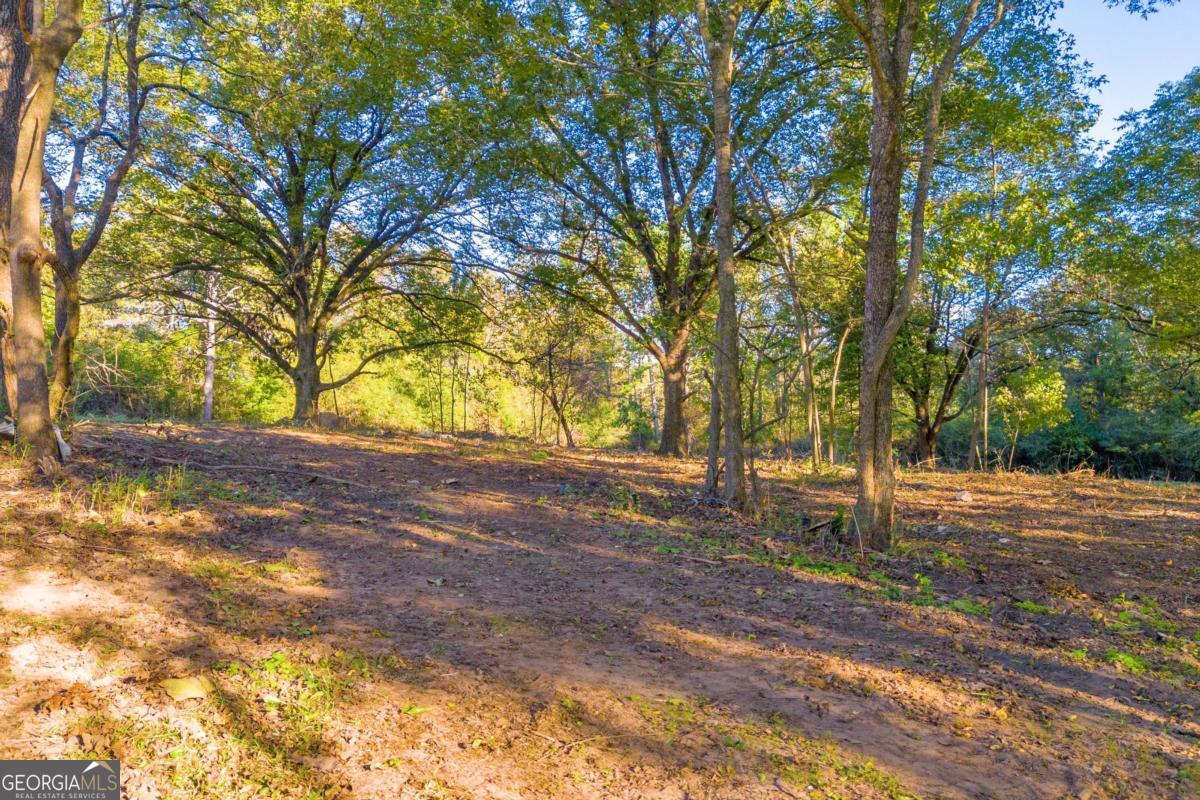 4638 Highway 63 Property Photo 9