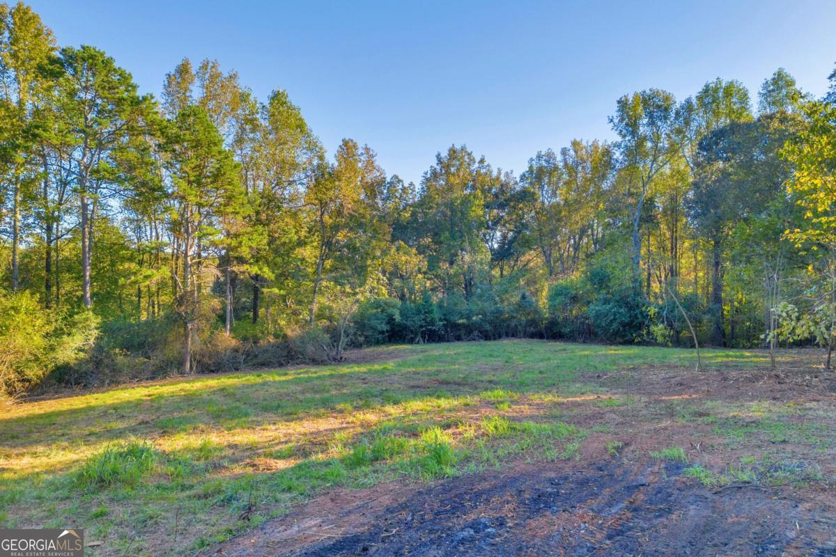 4638 Highway 63 Property Photo 11