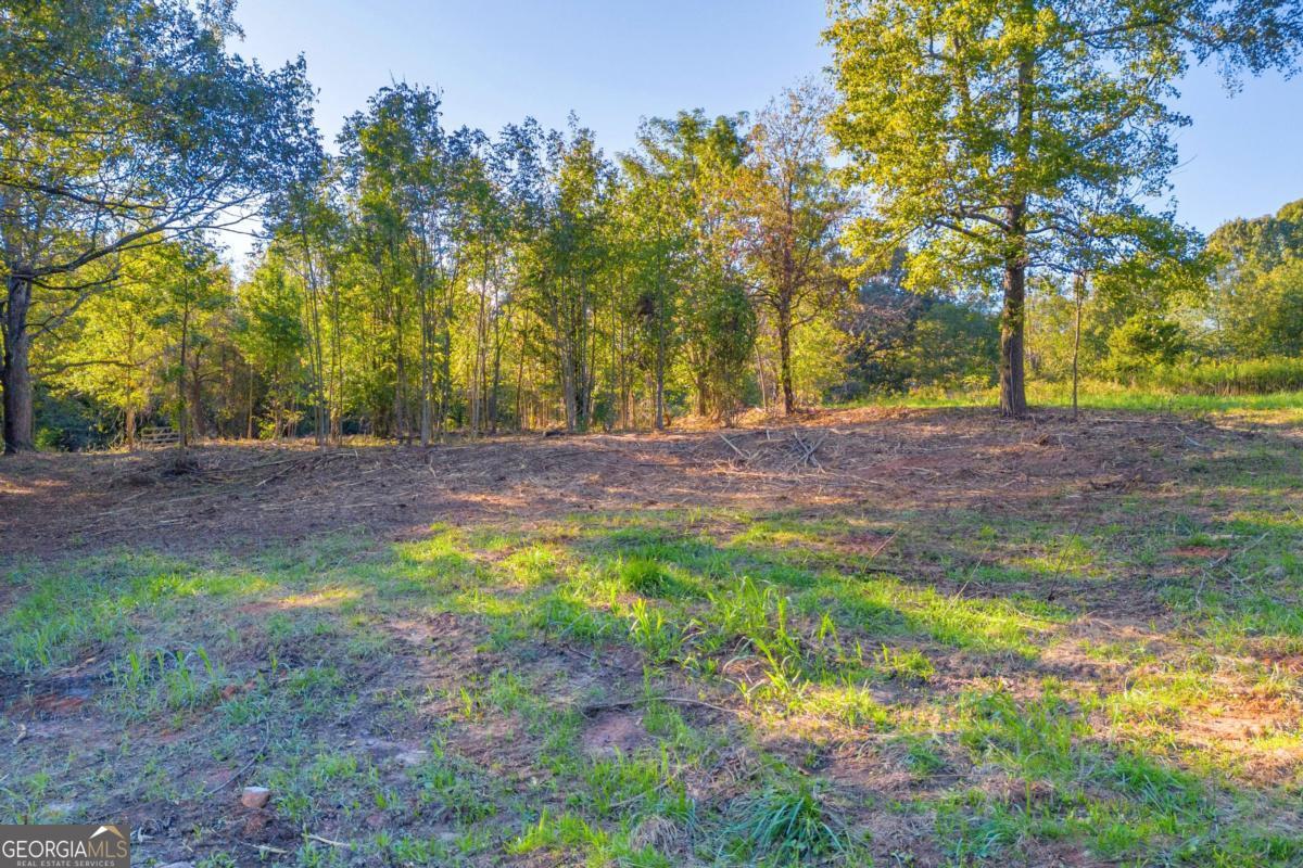4638 Highway 63 Property Photo 12