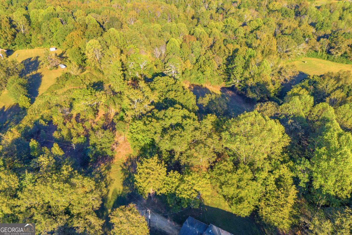 4638 Highway 63 Property Photo 13