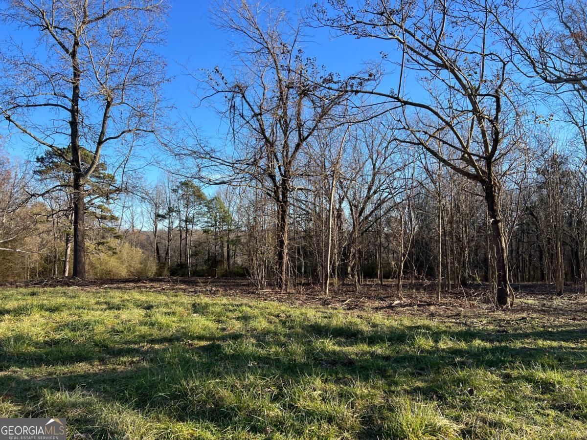 4638 Highway 63 Property Photo 41