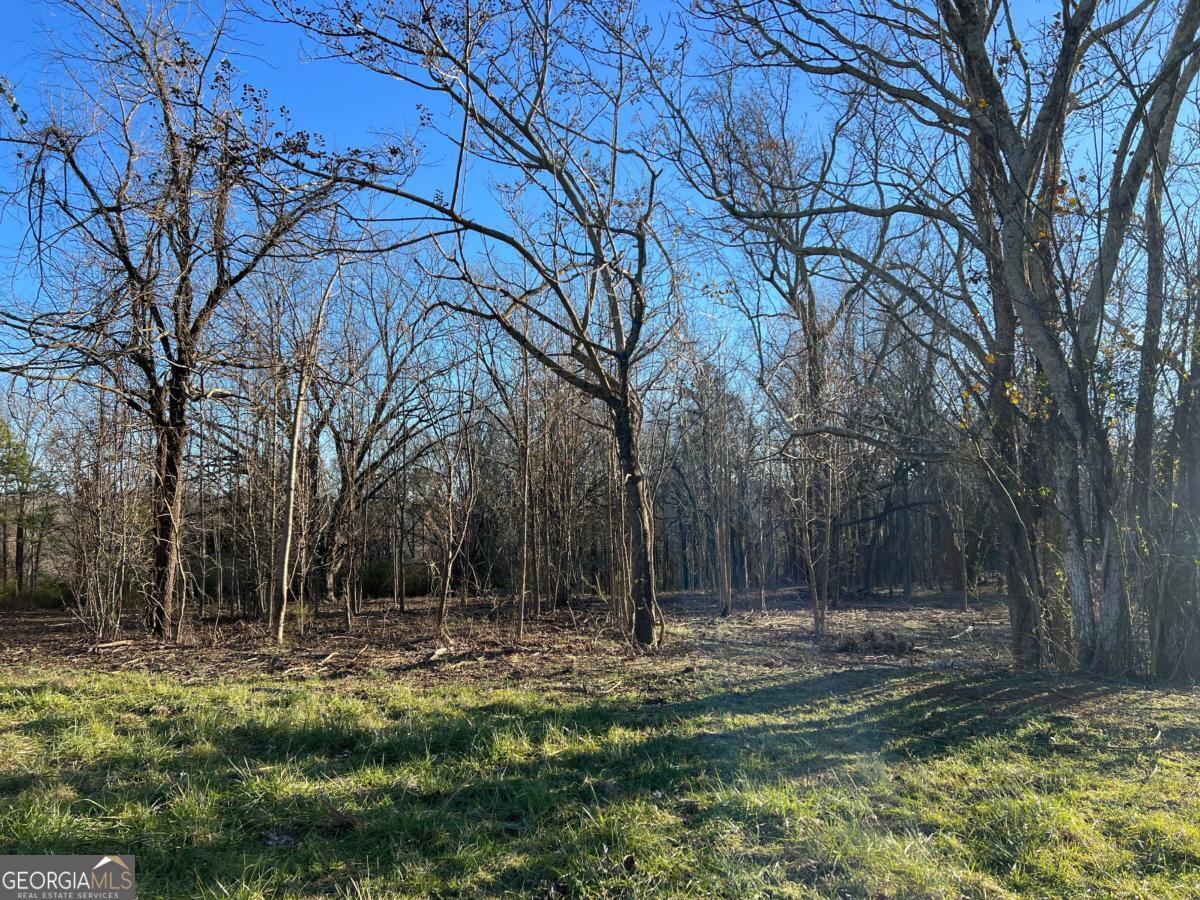 4638 Highway 63 Property Photo 42