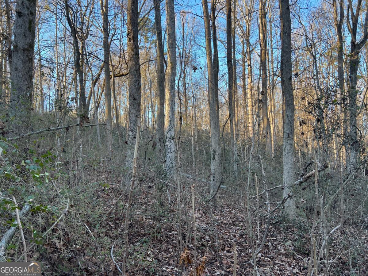4638 Highway 63 Property Photo 47