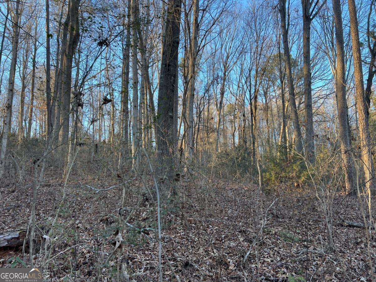 4638 Highway 63 Property Photo 50