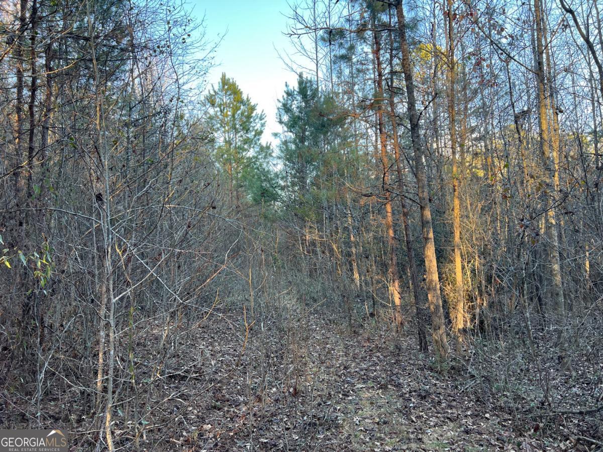 4638 Highway 63 Property Photo 53
