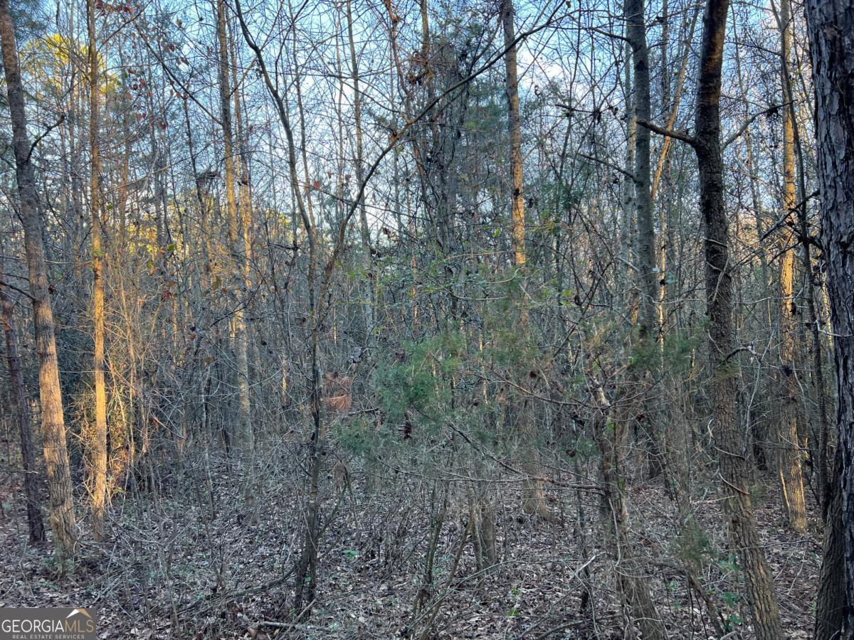 4638 Highway 63 Property Photo 54