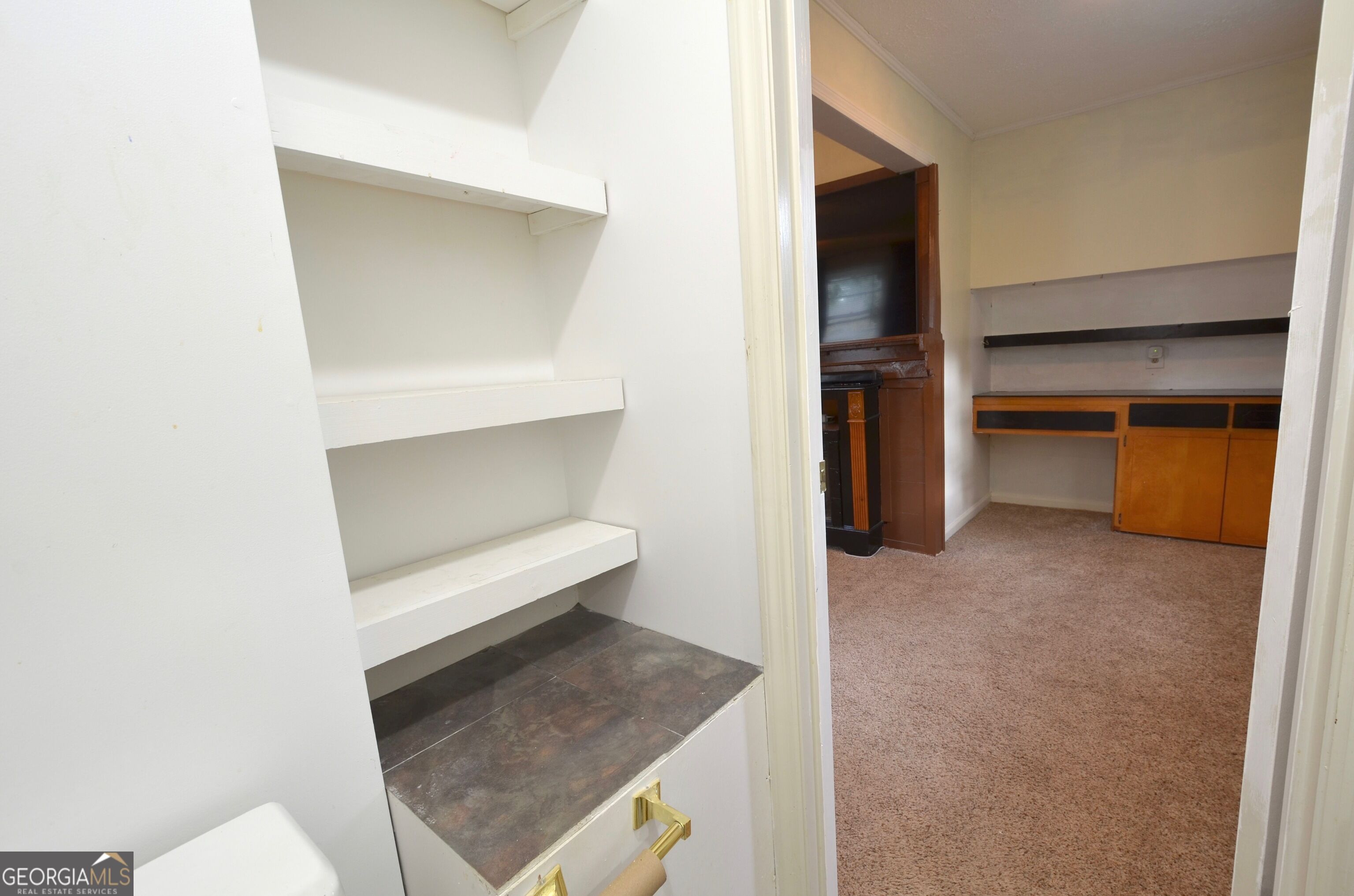 805 Antioch Church Road Property Photo 38