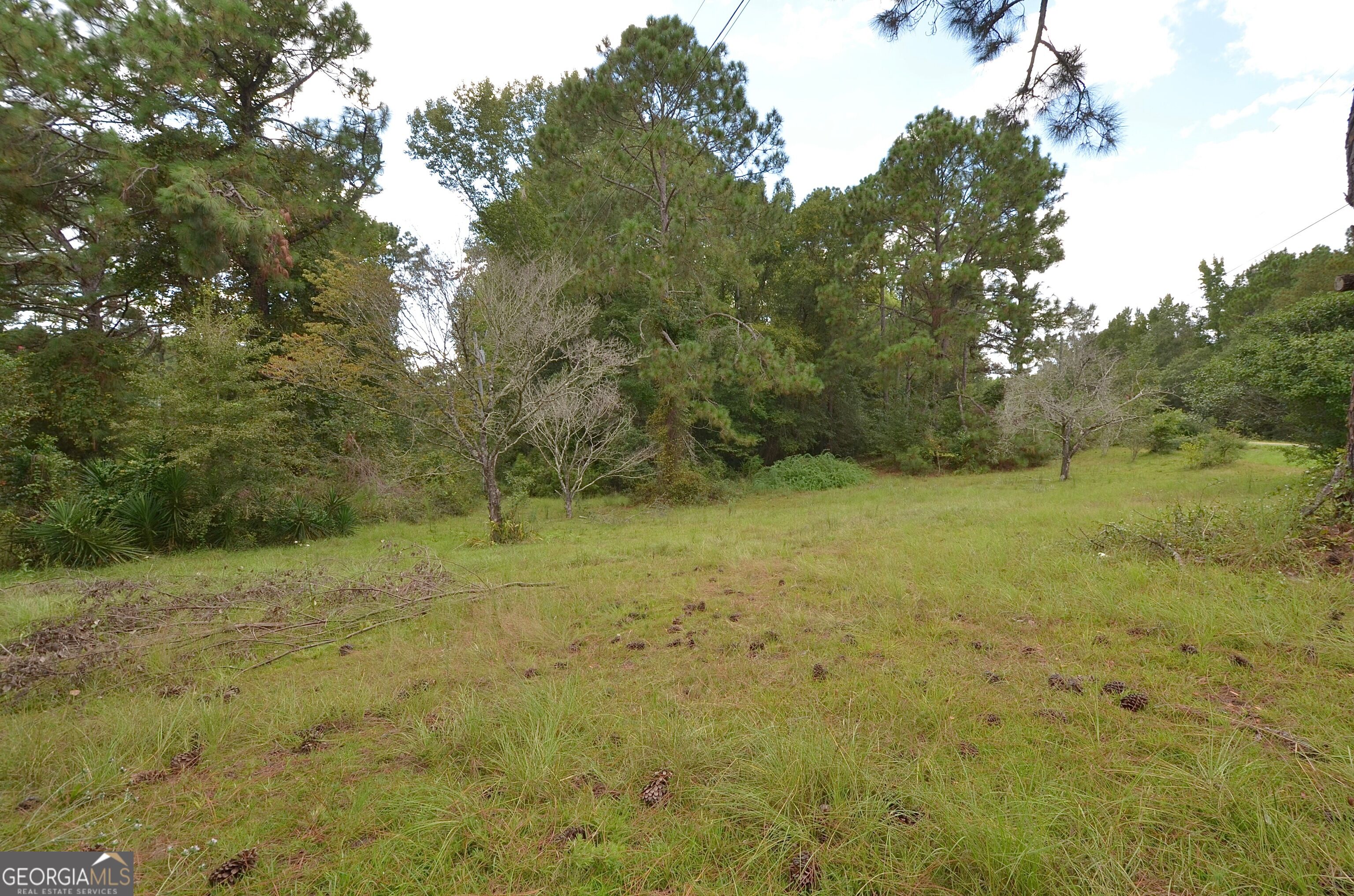 805 Antioch Church Road Property Photo 58