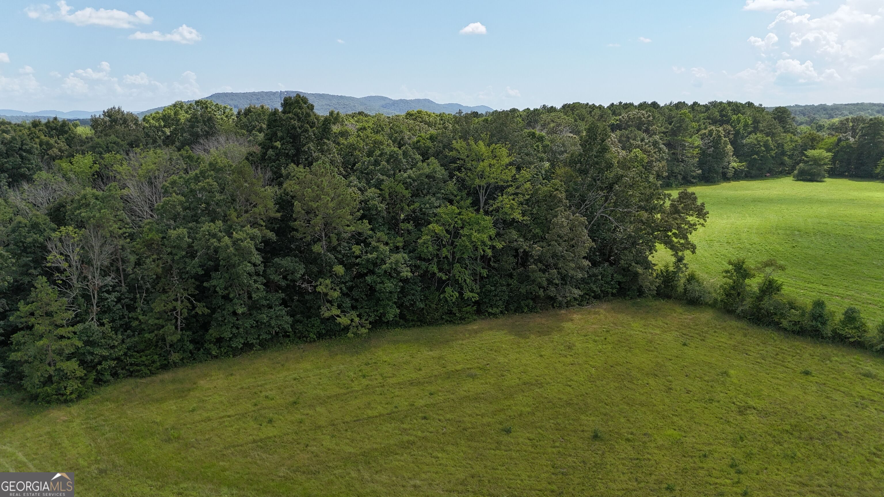 414 Echols Road Property Photo 4