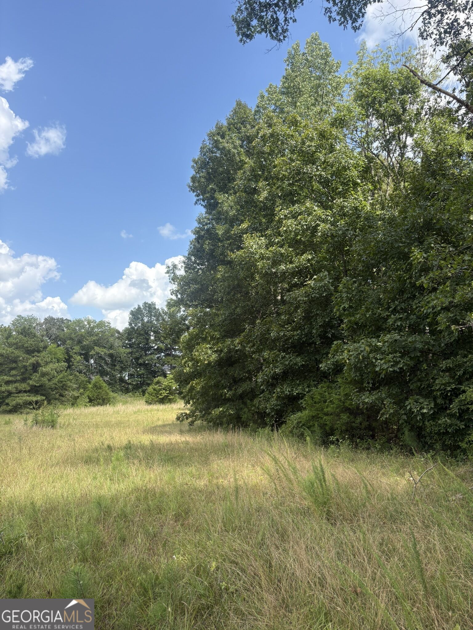 414 Echols Road Property Photo 10