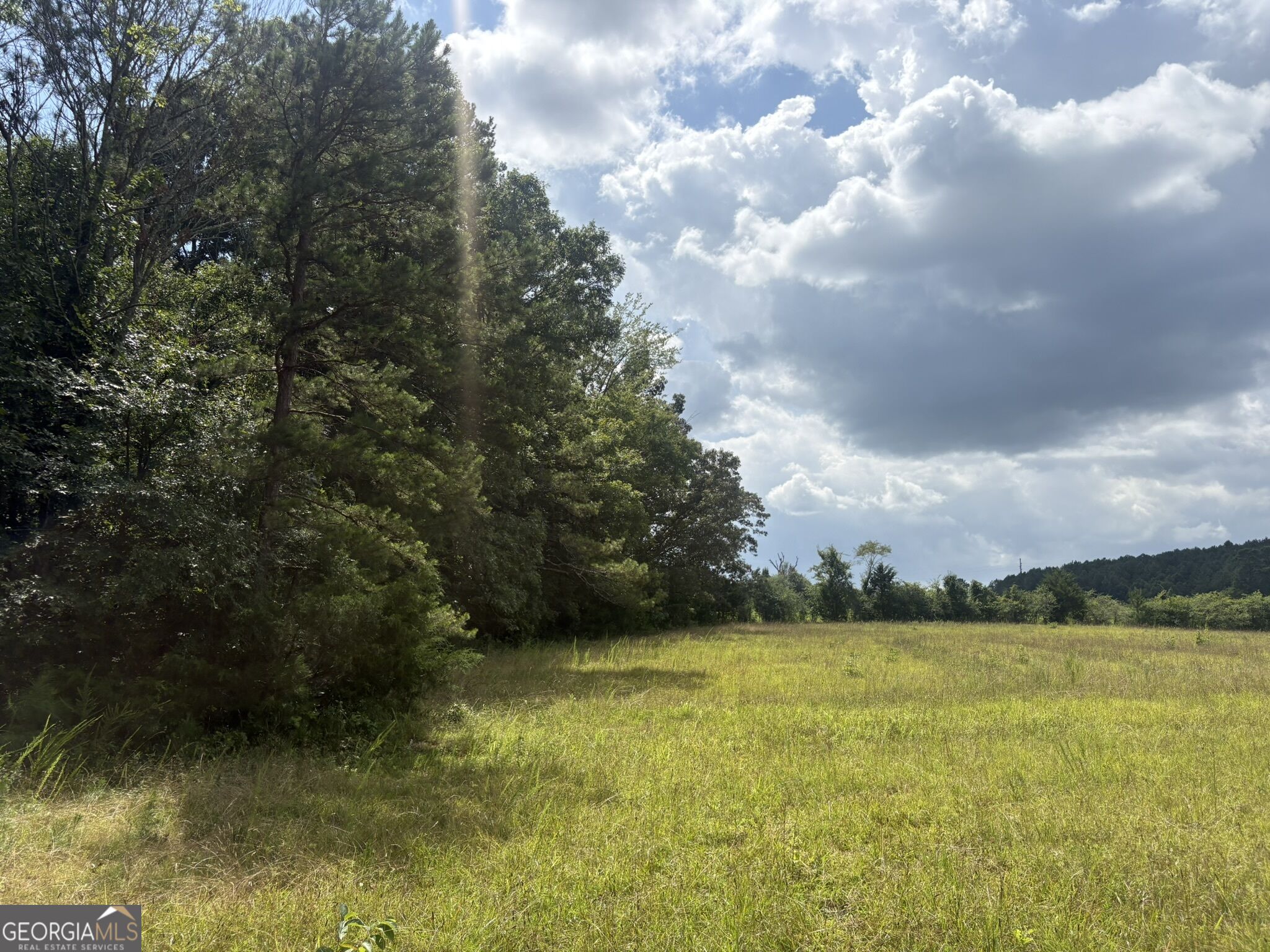 414 Echols Road Property Photo 11