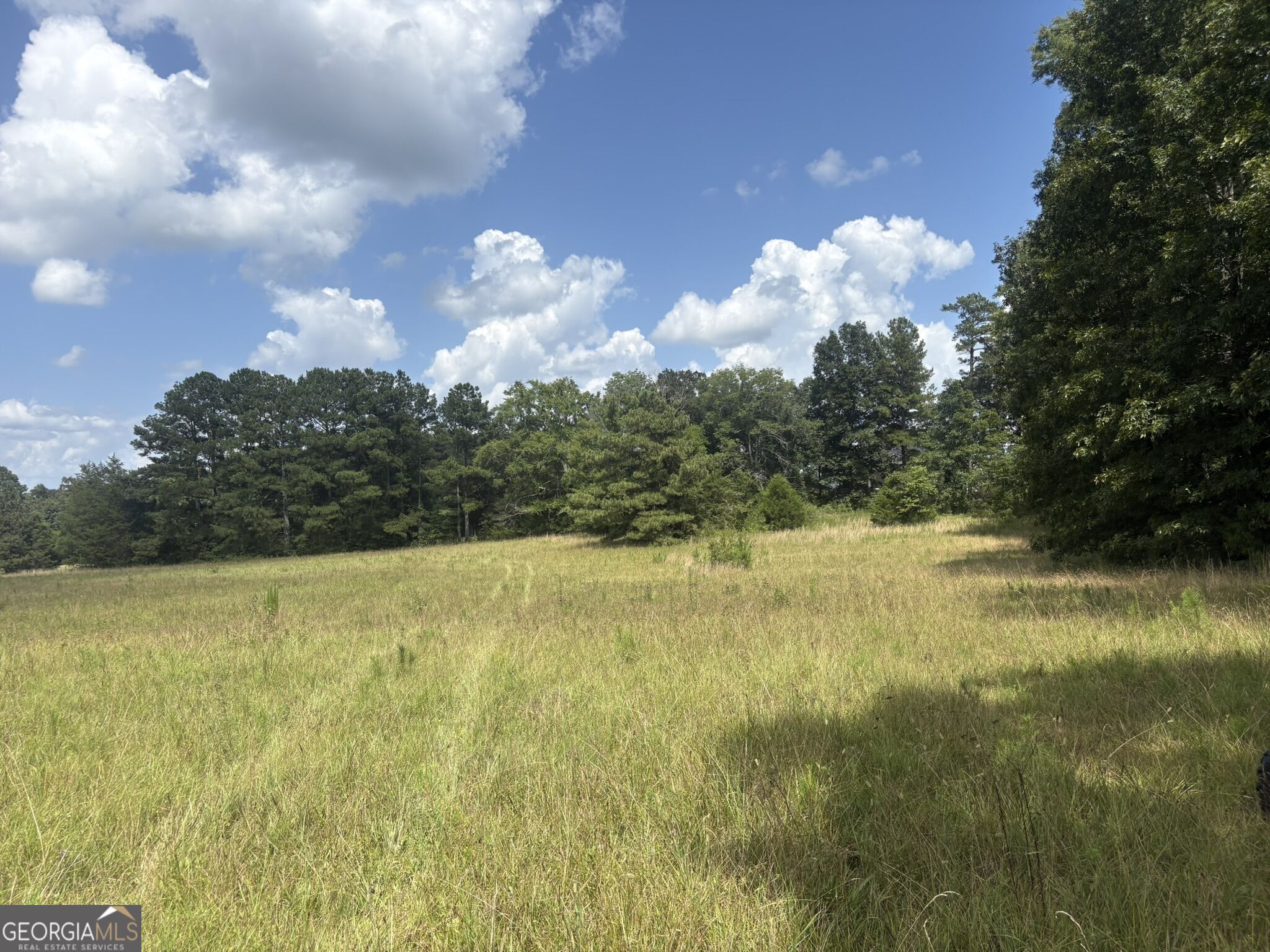 414 Echols Road Property Photo 12