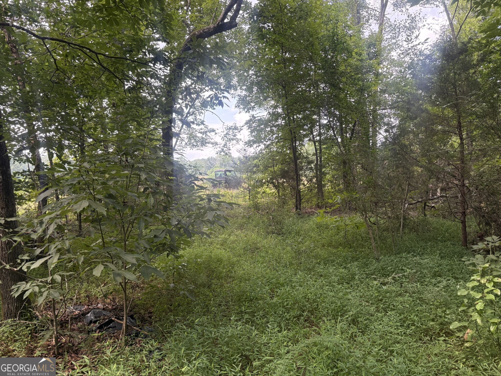 414 Echols Road Property Photo 13