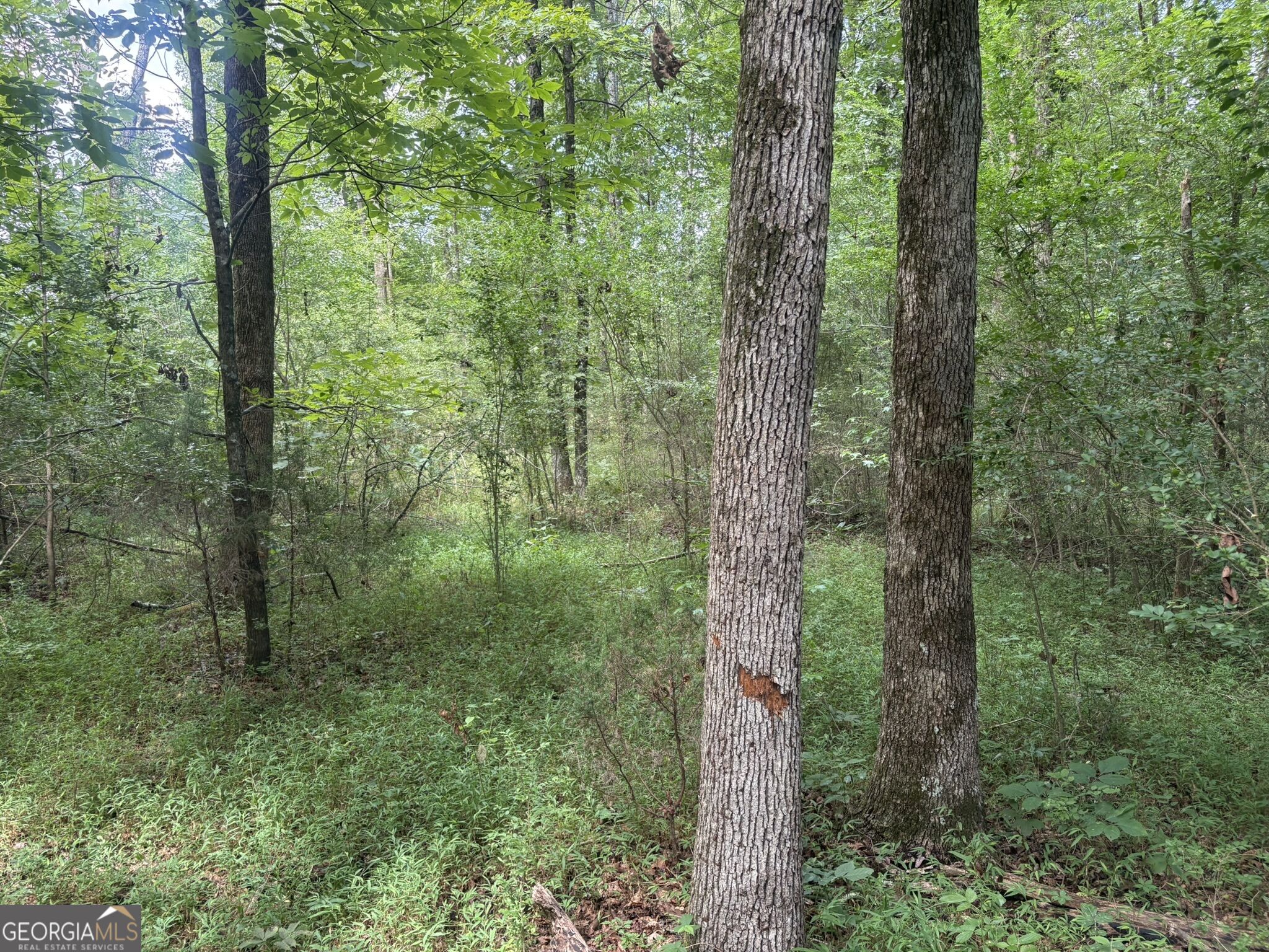414 Echols Road Property Photo 14