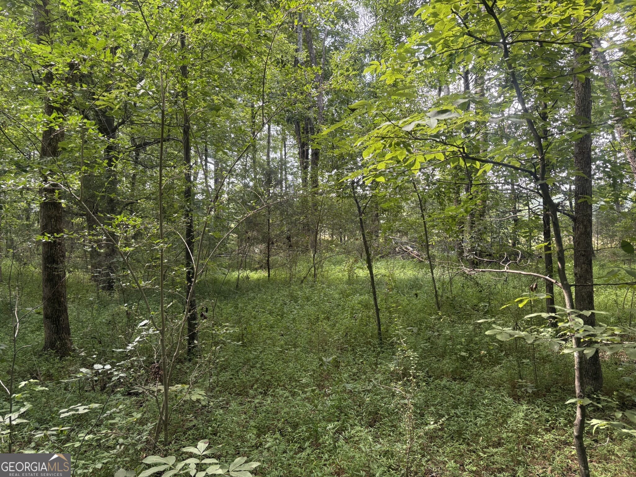 414 Echols Road Property Photo 16