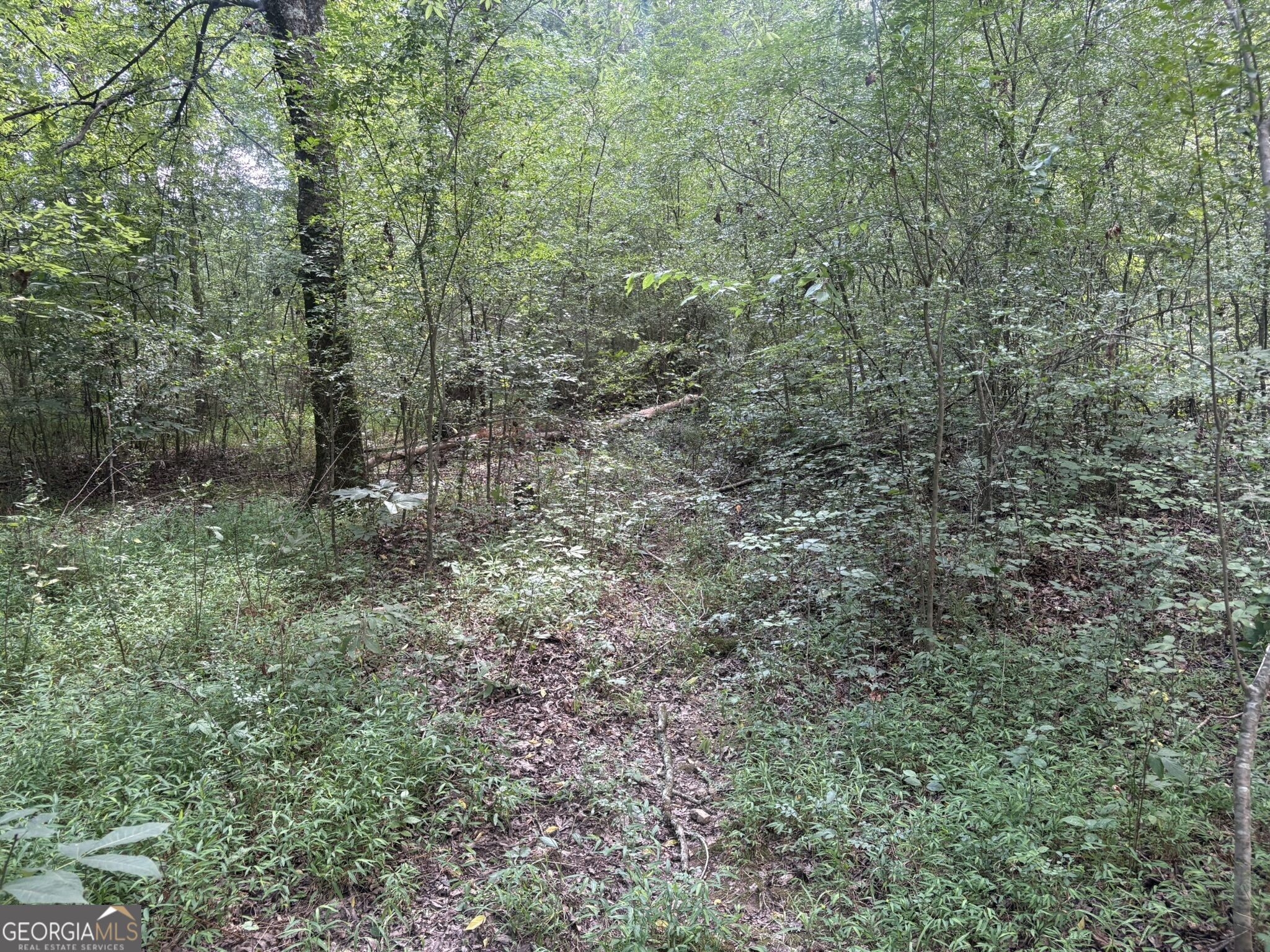 414 Echols Road Property Photo 17