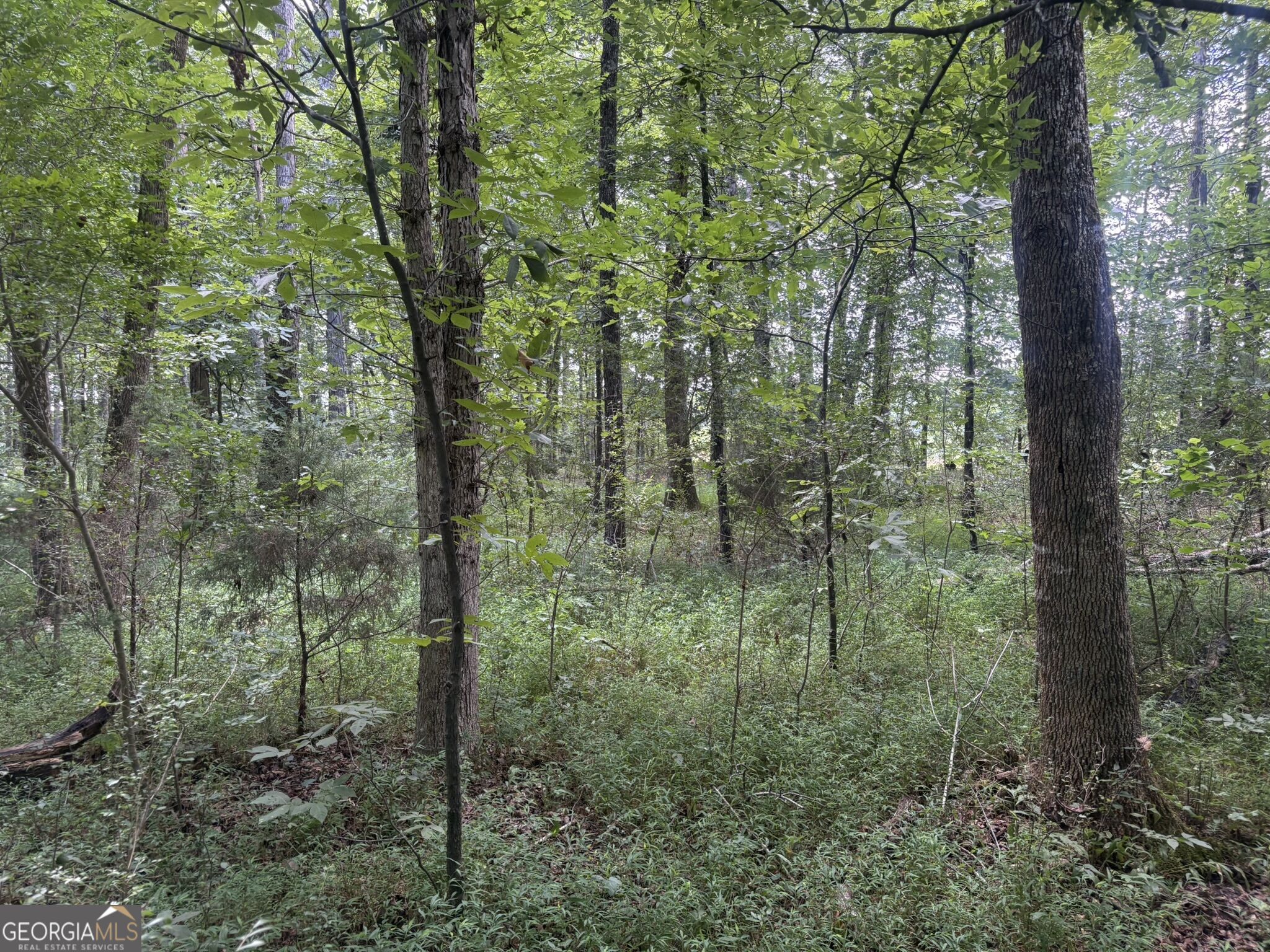 414 Echols Road Property Photo 18