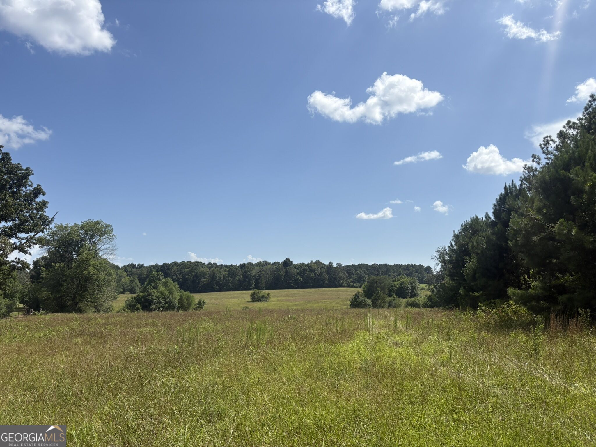 414 Echols Road Property Photo 21
