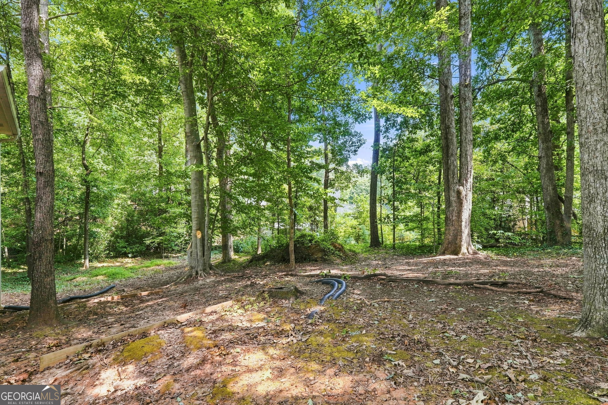 2267 Belle Vista Court Property Photo 47