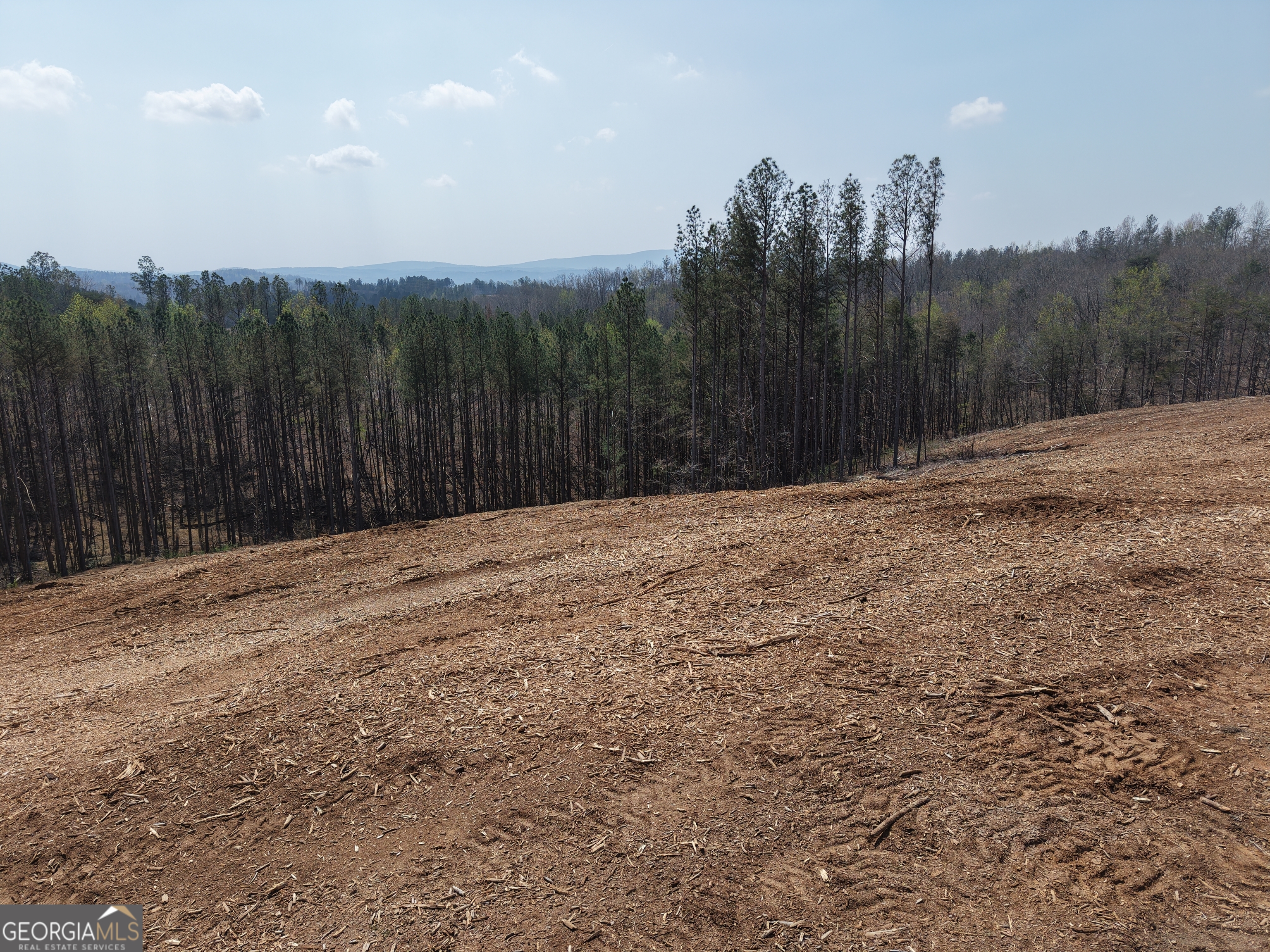 0 Young Loop # C Property Photo 1