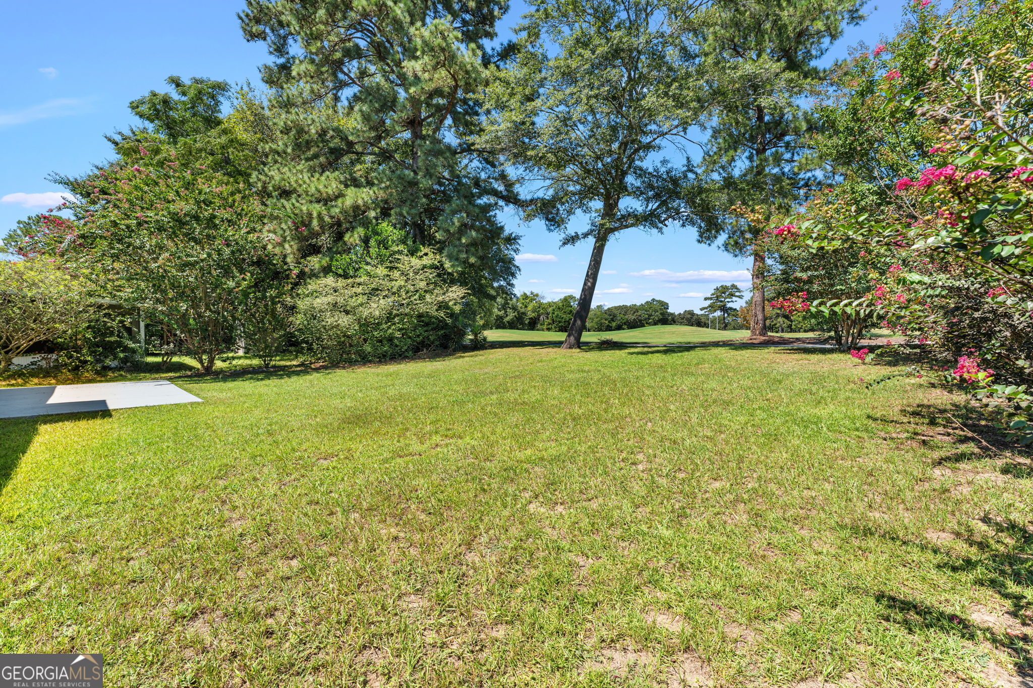 323 Links View Drive Property Photo 35