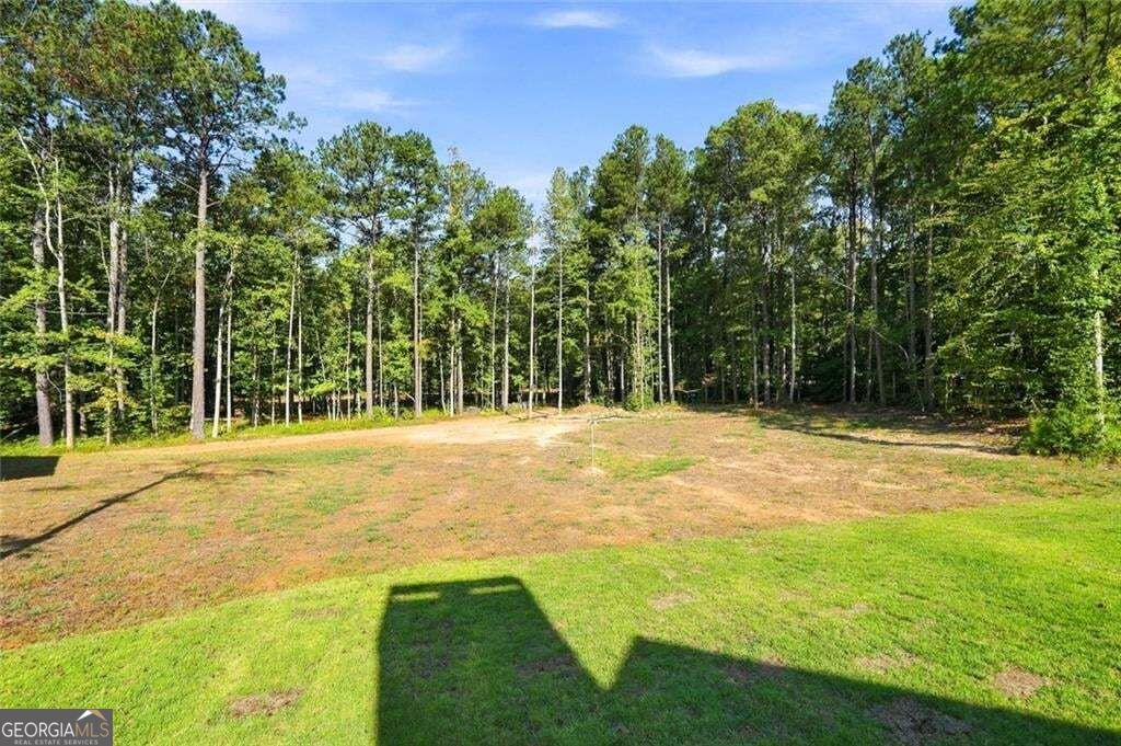 378 Ficklen Place Property Photo 60