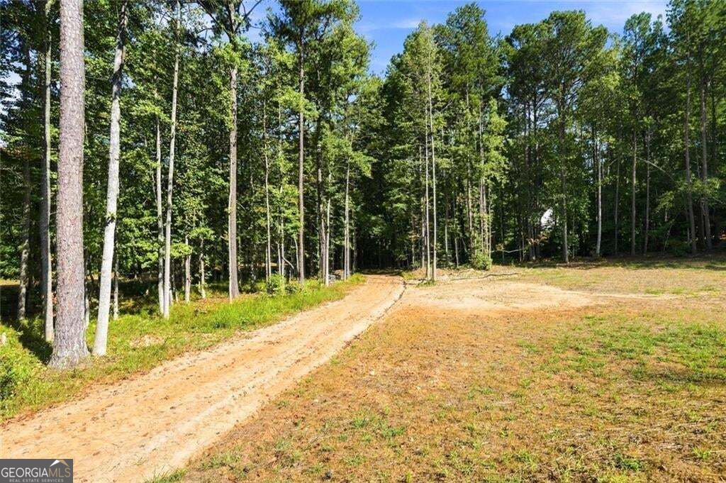 378 Ficklen Place Property Photo 66