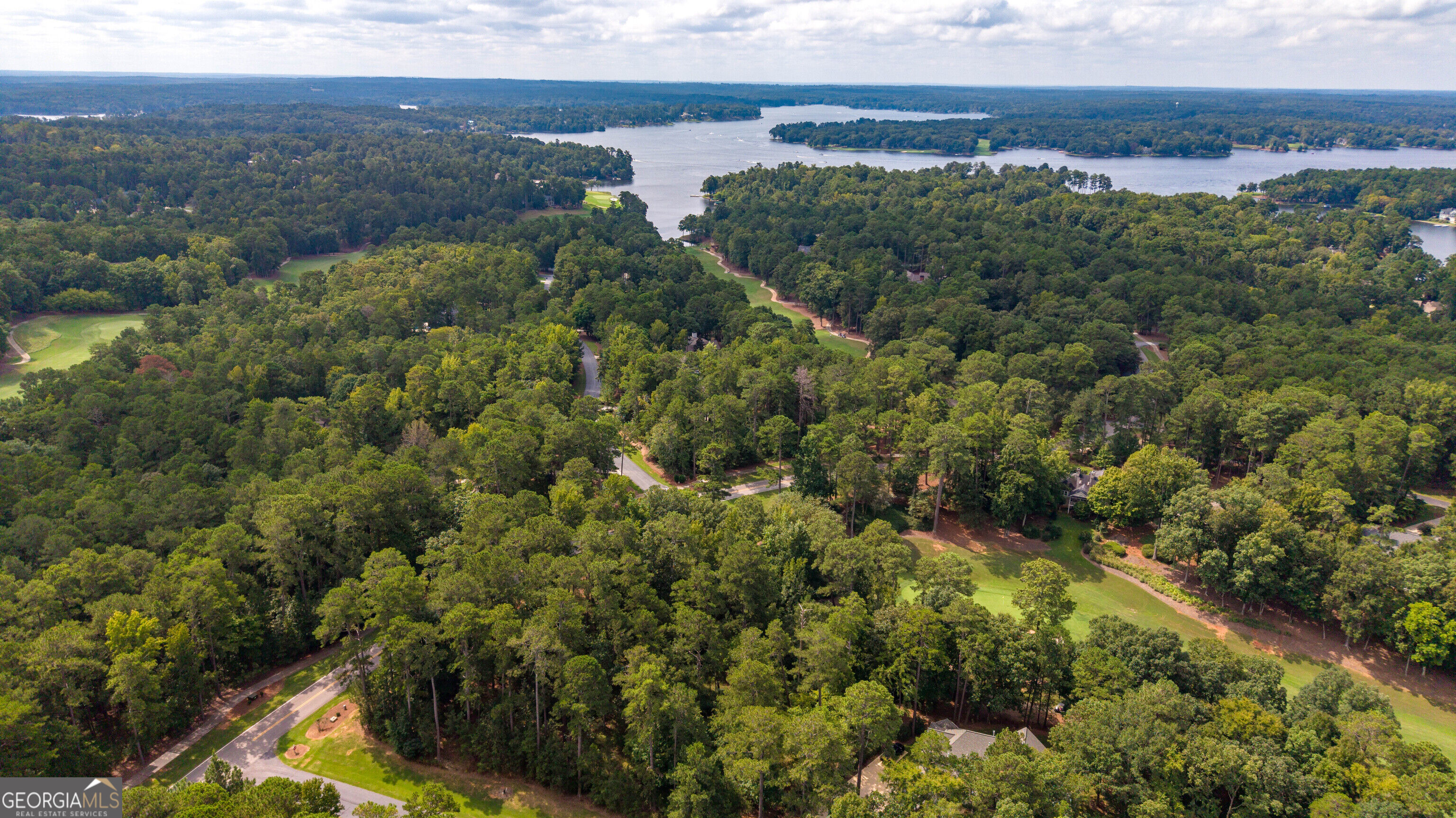 1151 Scull Shoals Drive Property Photo 15