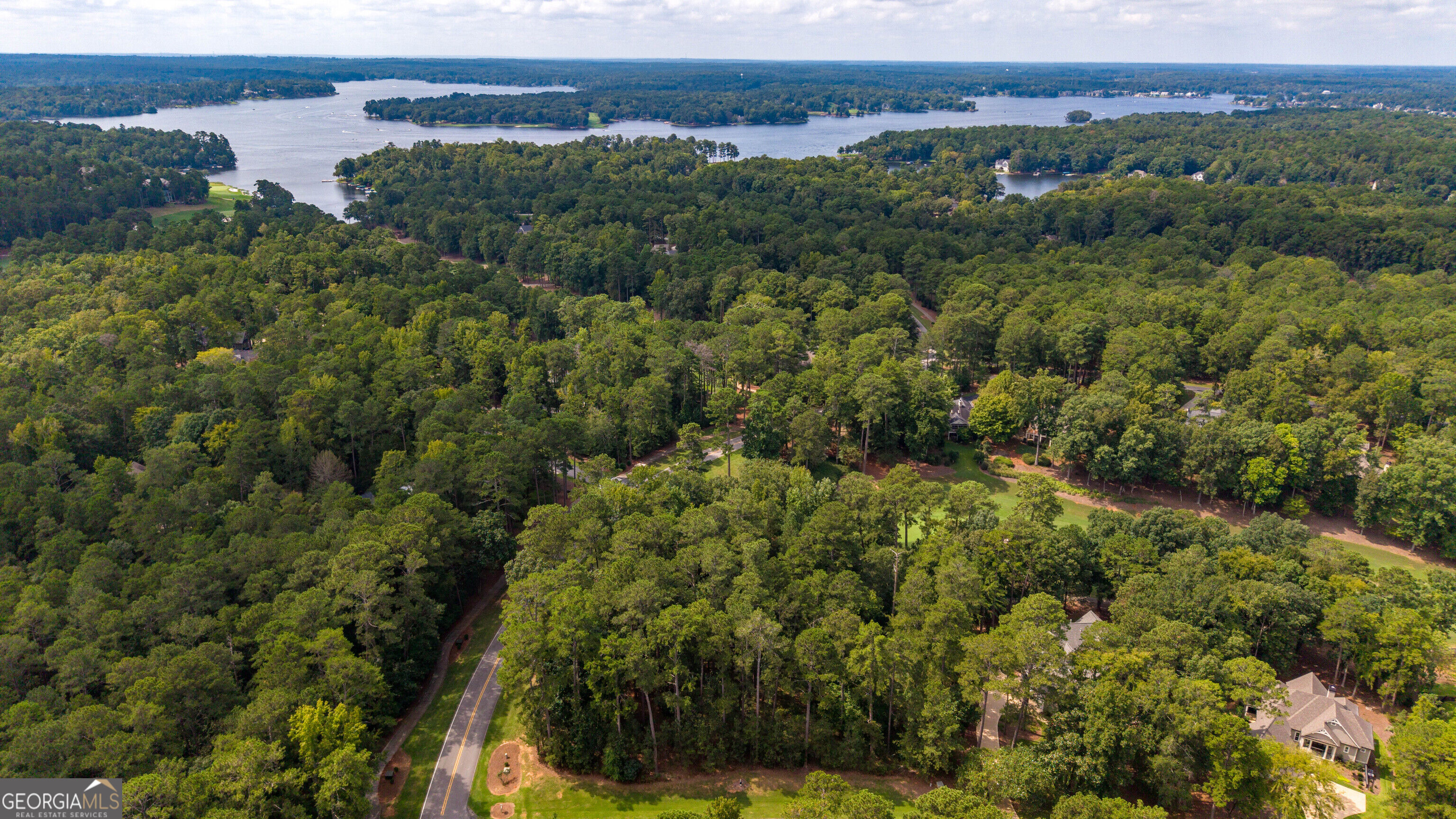 1151 Scull Shoals Drive Property Photo 16