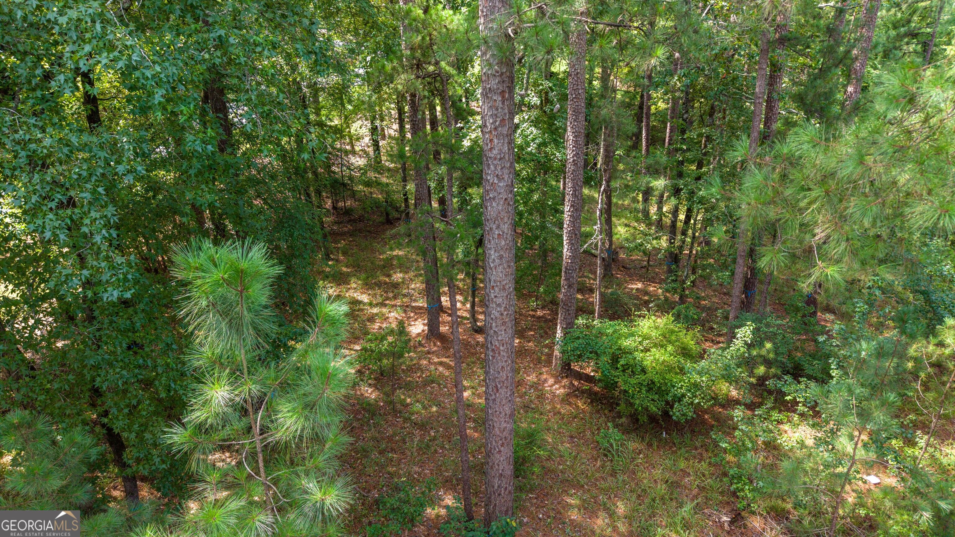 1151 Scull Shoals Drive Property Photo 17